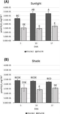 UV-induced reactive oxygen species and transcriptional control of 3-deoxyanthocyanidin biosynthesis in black sorghum pericarp